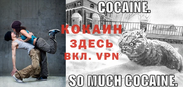бошки Снежногорск
