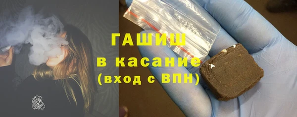 индика Сосновка
