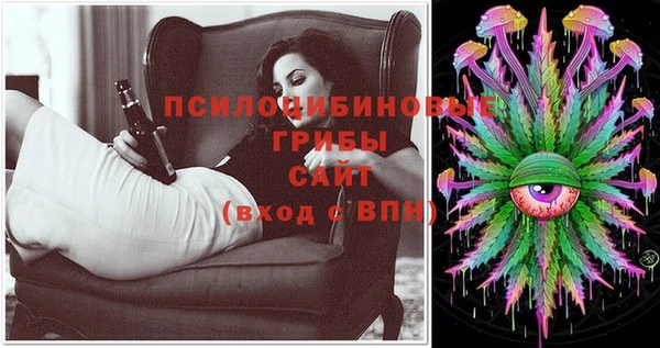 амф Слюдянка