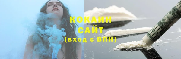 индика Сосновка