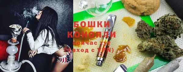 бошки Снежногорск