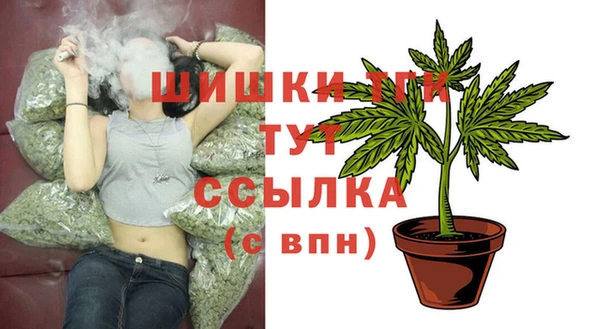 бошки Снежногорск