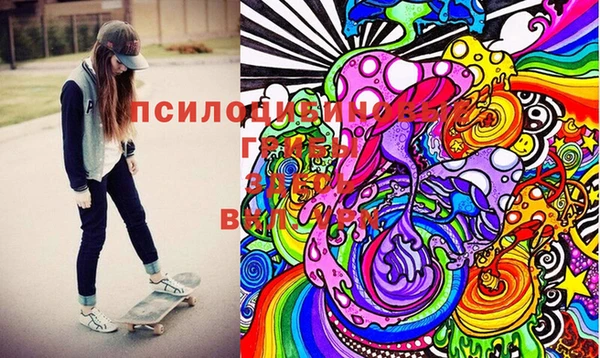 амф Слюдянка