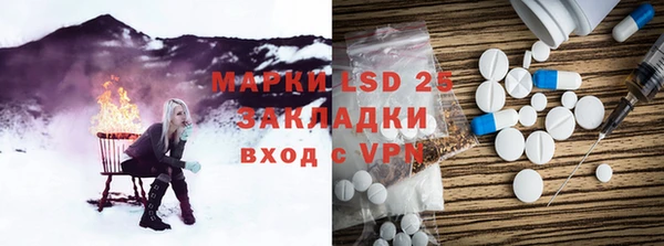 индика Сосновка
