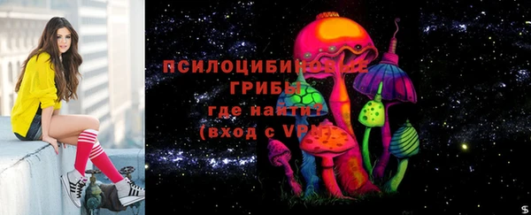 амф Слюдянка