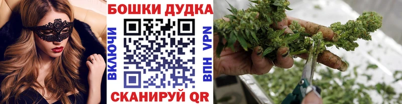 Бошки марихуана марихуана  Купить где  Фролово 